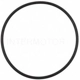 Purchase Top-Quality EGR Valve Gasket by BLUE STREAK (HYGRADE MOTOR) - VG239 pa3