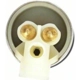 Purchase Top-Quality Electric Fuel Pump by CARTER - P90045 pa5