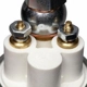 Purchase Top-Quality Electric Fuel Pump by DELPHI - FD0011 pa40
