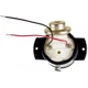 Purchase Top-Quality Electric Fuel Pump by DELPHI - FE0099 pa29