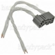 Purchase Top-Quality Electric Window Connector by BLUE STREAK (HYGRADE MOTOR) - HP4135 pa12