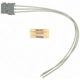 Purchase Top-Quality Electric Window Connector by BLUE STREAK (HYGRADE MOTOR) - S1120 pa3