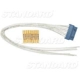 Purchase Top-Quality Electric Window Connector by BLUE STREAK (HYGRADE MOTOR) - S1766 pa12