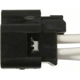 Purchase Top-Quality Electric Window Connector by BLUE STREAK (HYGRADE MOTOR) - S1793 pa12
