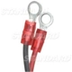 Purchase Top-Quality Trousse de conversion électronique de BLUE STREAK (HYGRADE MOTOR) - LX806 pa8