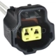 Purchase Top-Quality Emission Connector by BLUE STREAK (HYGRADE MOTOR) - S1830 pa8