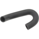 Purchase Top-Quality Emission Hose by BLUE STREAK (HYGRADE MOTOR) - EEH043 pa3