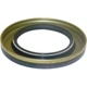Purchase Top-Quality Engine Crankshaft Seal by CROWN AUTOMOTIVE JEEP REPLACEMENT - 53021313AA pa1