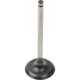 Purchase Top-Quality Engine Intake Valve by GENUINE OE - 13711 0D010 pa2