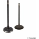 Purchase Top-Quality Engine Intake Valve by GENUINE OE - 14711 RYE A00 pa1