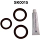 Purchase Top-Quality Engine Kit Set by DAYCO - SK0015 pa1