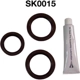 Purchase Top-Quality Engine Kit Set by DAYCO - SK0015 pa2