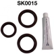 Purchase Top-Quality Engine Kit Set by DAYCO - SK0015 pa3
