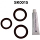 Purchase Top-Quality Engine Kit Set by DAYCO - SK0015 pa4