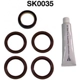 Purchase Top-Quality Engine Kit Set by DAYCO - SK0035 pa3