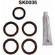 Purchase Top-Quality Engine Kit Set by DAYCO - SK0035 pa5