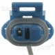 Purchase Top-Quality Engine Temperature Sensor Connector by BLUE STREAK (HYGRADE MOTOR) - HP4315 pa7