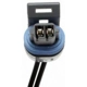 Purchase Top-Quality Engine Temperature Sensor Connector by BLUE STREAK (HYGRADE MOTOR) - HP4420 pa10