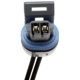 Purchase Top-Quality Engine Temperature Sensor Connector by BLUE STREAK (HYGRADE MOTOR) - HP4420 pa6