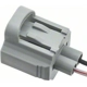 Purchase Top-Quality Engine Temperature Sensor Connector by BLUE STREAK (HYGRADE MOTOR) - S816 pa4
