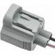 Purchase Top-Quality Engine Temperature Sensor Connector by BLUE STREAK (HYGRADE MOTOR) - S816 pa9