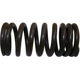 Purchase Top-Quality Engine Valve Spring by CROWN AUTOMOTIVE JEEP REPLACEMENT - J0638636 pa1