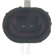 Purchase Top-Quality Engine Wiring Connector by BLUE STREAK (HYGRADE MOTOR) - S1075 pa2