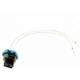 Purchase Top-Quality Engine Wiring Connector by BLUE STREAK (HYGRADE MOTOR) - S689 pa15