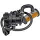 Purchase Top-Quality DORMAN - 310221 - Fuel Vapor Leak Detection Pump pa3