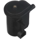 Purchase Top-Quality BLUE STREAK (HYGRADE MOTOR) - CF12 - Vapor Canister Filter pa1