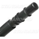 Purchase Top-Quality Filtre à cartouche d'évaporateur de BLUE STREAK (HYGRADE MOTOR) - CF5 pa3