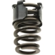 Purchase Top-Quality MOPAR - 53021873AA - Exhaust Valve Spring pa1