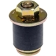 Purchase Top-Quality Expansion Plug (Block Parts) by DORMAN/AUTOGRADE - 02608 pa2