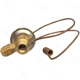 Purchase Top-Quality Expansion Valve by COOLING DEPOT - 38608 pa14