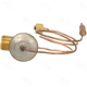 Purchase Top-Quality Expansion Valve by COOLING DEPOT - 39000 pa10