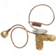 Purchase Top-Quality Expansion Valve by FOUR SEASONS - 38604 pa10