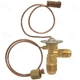 Purchase Top-Quality Expansion Valve by FOUR SEASONS - 38606 pa10