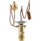 Purchase Top-Quality Expansion Valve by FOUR SEASONS - 38606 pa29