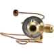 Purchase Top-Quality Expansion Valve by FOUR SEASONS - 38606 pa30