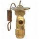Purchase Top-Quality Expansion Valve by FOUR SEASONS - 38608 pa2