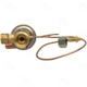 Purchase Top-Quality Expansion Valve by FOUR SEASONS - 38609 pa2