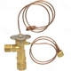 Purchase Top-Quality Expansion Valve by FOUR SEASONS - 38610 pa10