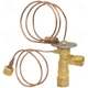 Purchase Top-Quality Expansion Valve by FOUR SEASONS - 38610 pa26