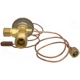 Purchase Top-Quality Expansion Valve by FOUR SEASONS - 38610 pa27