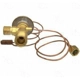 Purchase Top-Quality Expansion Valve by FOUR SEASONS - 38610 pa6