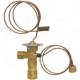Purchase Top-Quality Expansion Valve by FOUR SEASONS - 38611 pa11
