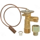 Purchase Top-Quality Expansion Valve by FOUR SEASONS - 38616 pa29