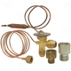 Purchase Top-Quality Expansion Valve by FOUR SEASONS - 38629 pa6