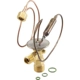 Purchase Top-Quality Expansion Valve by FOUR SEASONS - 38631 pa28