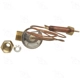 Purchase Top-Quality Expansion Valve by FOUR SEASONS - 38637 pa1